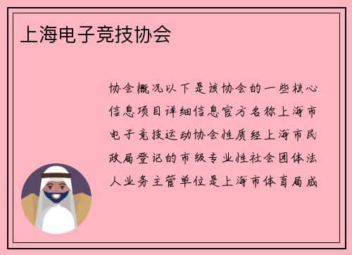 上海电子竞技协会